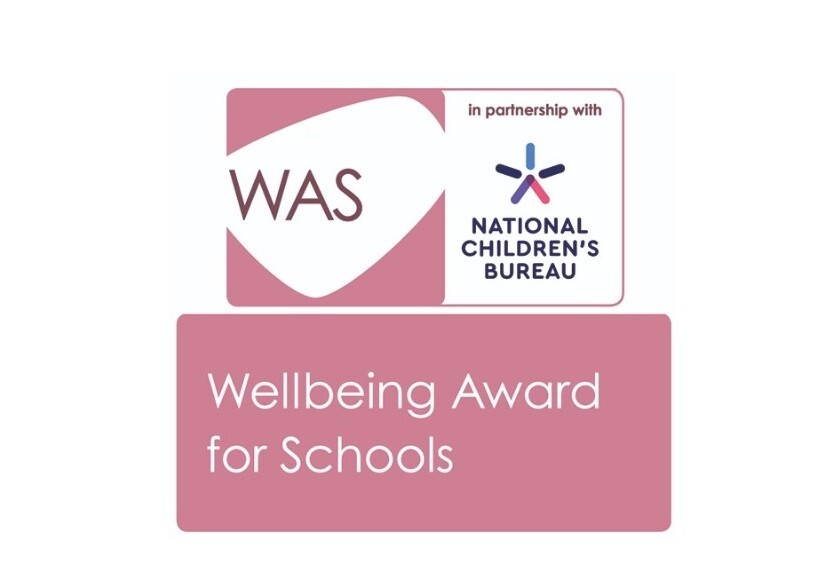 Wellbeing for schools 4